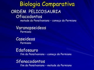Biologia Comparativa
ORDEM PELICOSAURIA
  Ofiacodontos
   metade do Pensilvaniano – começo do Permiano

 Varanopseideos
   Permiano

 Caseideos
   Permiano

 Edafosauro
   fim do Pensilvaniano – começo do Permiano

 Sfenacodontos
   fim do Pensilvaniano – metade do Permiano
 