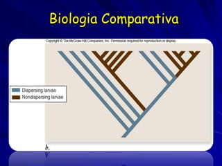 Biologia Comparativa
 