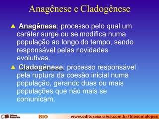 Anagênese e Cladogênese Anagênese : processo pelo qual um caráter surge ou se modifica numa população ao longo do tempo, sendo responsável pelas novidades evolutivas. Cladogênese : processo responsável pela ruptura da coesão inicial numa população, gerando duas ou mais populações que não mais se comunicam.  