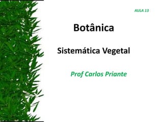 Botânica
Sistemática Vegetal
Prof Carlos Priante
AULA 13
 