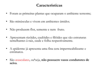 Características
• Foram as primeiras plantas que ocuparam o ambiente terrestre;
• São minúsculas e vivem em ambientes úmidos.
• Não produzem flor, semente e nem fruto.
• Apresentam rizóides, caulóides e filóides que são estruturas
semelhantes à raiz, caule e folha respectivamente.
• A epiderme já apresenta uma fina cera impermeabilizante e
estômatos.
• São avasculares, ou seja, não possuem vasos condutores de
seiva.
 