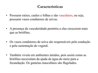 Características
• Possuem raízes, caules e folhas e são vasculares, ou seja,
possuem vasos condutores de seivas.
• A presença da vascularidade permitiu a elas crescerem mais
que as briófitas.
• Os vasos condutores de seiva são responsáveis pela condução
e pela sustentação do vegetal.
• Também vivem em ambientes úmidos, pois assim como as
briófitas necessitam da ajuda da água do meio para a
fecundação. Os gametas masculinos são flagelados.
 