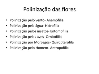 Polinização das flores
• Polinização pelo vento- Anemofilia
• Polinização pela água- Hidrofilia
• Polinização pelos insetos- Entomofilia
• Polinização pelas aves- Ornitofilia
• Polinização por Morcegos- Quiropterófila
• Polinização pelo Homem- Antropofilia
 