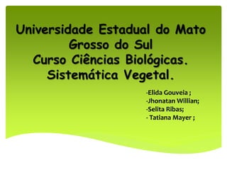 Universidade Estadual do Mato
Grosso do Sul
Curso Ciências Biológicas.
Sistemática Vegetal.
-Elida Gouveia ;
-Jhonatan Willian;
-Selita Ribas;
- Tatiana Mayer ;
 