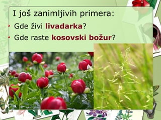 I još zanimljivih primera:
Gde živi livadarka?
Gde raste kosovski božur?
 