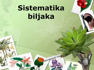 Sistematika
biljaka
Damnjanović Ivana
 