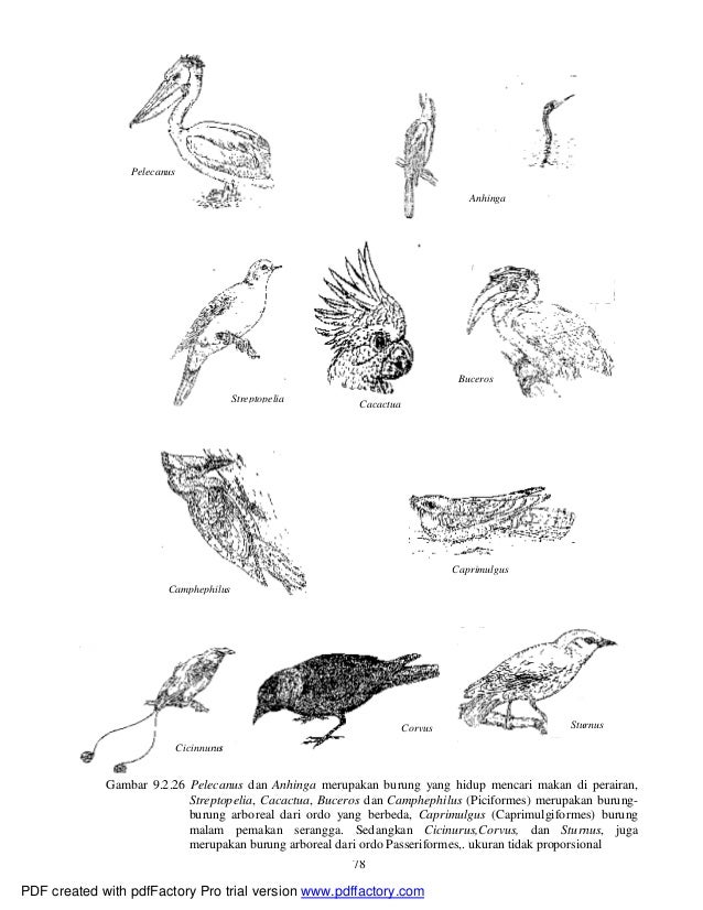 Sistematika vertebrata