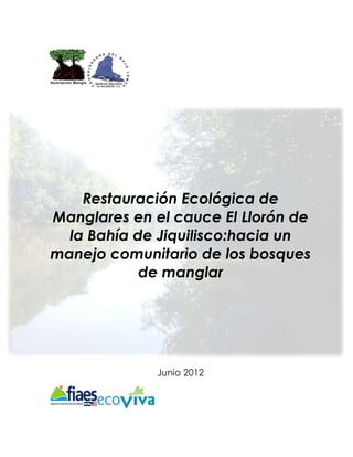 Restauración Ecológica de
Manglares en el cauce El Llorón de
  la Bahía de Jiquilisco:hacia un
manejo comunitario de los bosques
            de manglar




             Junio 2012
 