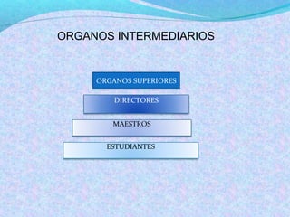 ORGANOS SUPERIORES
DIRECTORES
MAESTROS
ESTUDIANTES
ORGANOS INTERMEDIARIOS
 