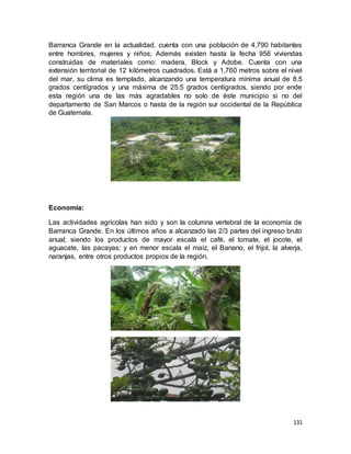 131
Barranca Grande en la actualidad, cuenta con una población de 4,790 habitantes
entre hombres, mujeres y niños; Además existen hasta la fecha 956 viviendas
construidas de materiales como: madera, Block y Adobe. Cuenta con una
extensión territorial de 12 kilómetros cuadrados. Está a 1,760 metros sobre el nivel
del mar, su clima es templado, alcanzando una temperatura mínima anual de 8.5
grados centígrados y una máxima de 25.5 grados centígrados, siendo por ende
esta región una de las más agradables no solo de éste municipio si no del
departamento de San Marcos o hasta de la región sur occidental de la República
de Guatemala.
Economía:
Las actividades agrícolas han sido y son la columna vertebral de la economía de
Barranca Grande. En los últimos años a alcanzado las 2/3 partes del ingreso bruto
anual; siendo los productos de mayor escala el café, el tomate, el jocote, el
aguacate, las pacayas; y en menor escala el maíz, el Banano, el frijol, la alverja,
naranjas, entre otros productos propios de la región.
 