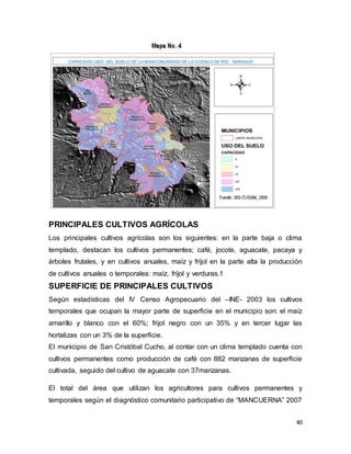 40
PRINCIPALES CULTIVOS AGRÍCOLAS
Los principales cultivos agrícolas son los siguientes: en la parte baja o clima
templado, destacan los cultivos permanentes; café, jocote, aguacate, pacaya y
árboles frutales, y en cultivos anuales, maíz y fríjol en la parte alta la producción
de cultivos anuales o temporales: maíz, fríjol y verduras.1
SUPERFICIE DE PRINCIPALES CULTIVOS
Según estadísticas del IV Censo Agropecuario del –INE- 2003 los cultivos
temporales que ocupan la mayor parte de superficie en el municipio son: el maíz
amarillo y blanco con el 60%; frijol negro con un 35% y en tercer lugar las
hortalizas con un 3% de la superficie.
El municipio de San Cristóbal Cucho, al contar con un clima templado cuenta con
cultivos permanentes como producción de café con 882 manzanas de superficie
cultivada, seguido del cultivo de aguacate con 37manzanas.
El total del área que utilizan los agricultores para cultivos permanentes y
temporales según el diagnóstico comunitario participativo de “MANCUERNA” 2007
 