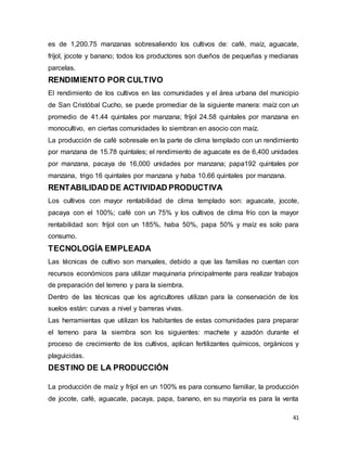 41
es de 1,200.75 manzanas sobresaliendo los cultivos de: café, maíz, aguacate,
fríjol, jocote y banano; todos los productores son dueños de pequeñas y medianas
parcelas.
RENDIMIENTO POR CULTIVO
El rendimiento de los cultivos en las comunidades y el área urbana del municipio
de San Cristóbal Cucho, se puede promediar de la siguiente manera: maíz con un
promedio de 41.44 quintales por manzana; fríjol 24.58 quintales por manzana en
monocultivo, en ciertas comunidades lo siembran en asocio con maíz.
La producción de café sobresale en la parte de clima templado con un rendimiento
por manzana de 15.78 quintales; el rendimiento de aguacate es de 6,400 unidades
por manzana, pacaya de 16,000 unidades por manzana; papa192 quintales por
manzana, trigo 16 quintales por manzana y haba 10.66 quintales por manzana.
RENTABILIDAD DE ACTIVIDAD PRODUCTIVA
Los cultivos con mayor rentabilidad de clima templado son: aguacate, jocote,
pacaya con el 100%; café con un 75% y los cultivos de clima frío con la mayor
rentabilidad son: fríjol con un 185%, haba 50%, papa 50% y maíz es solo para
consumo.
TECNOLOGÍA EMPLEADA
Las técnicas de cultivo son manuales, debido a que las familias no cuentan con
recursos económicos para utilizar maquinaria principalmente para realizar trabajos
de preparación del terreno y para la siembra.
Dentro de las técnicas que los agricultores utilizan para la conservación de los
suelos están: curvas a nivel y barreras vivas.
Las herramientas que utilizan los habitantes de estas comunidades para preparar
el terreno para la siembra son los siguientes: machete y azadón durante el
proceso de crecimiento de los cultivos, aplican fertilizantes químicos, orgánicos y
plaguicidas.
DESTINO DE LA PRODUCCIÓN
La producción de maíz y fríjol en un 100% es para consumo familiar, la producción
de jocote, café, aguacate, pacaya, papa, banano, en su mayoría es para la venta
 