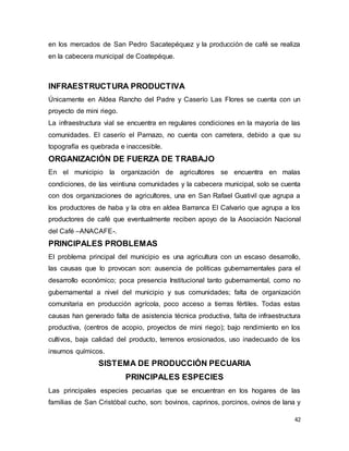 42
en los mercados de San Pedro Sacatepéquez y la producción de café se realiza
en la cabecera municipal de Coatepéque.
INFRAESTRUCTURA PRODUCTIVA
Únicamente en Aldea Rancho del Padre y Caserío Las Flores se cuenta con un
proyecto de mini riego.
La infraestructura vial se encuentra en regulares condiciones en la mayoría de las
comunidades. El caserío el Parnazo, no cuenta con carretera, debido a que su
topografía es quebrada e inaccesible.
ORGANIZACIÓN DE FUERZA DE TRABAJO
En el municipio la organización de agricultores se encuentra en malas
condiciones, de las veintiuna comunidades y la cabecera municipal, solo se cuenta
con dos organizaciones de agricultores, una en San Rafael Guativil que agrupa a
los productores de haba y la otra en aldea Barranca El Calvario que agrupa a los
productores de café que eventualmente reciben apoyo de la Asociación Nacional
del Café –ANACAFE-.
PRINCIPALES PROBLEMAS
El problema principal del municipio es una agricultura con un escaso desarrollo,
las causas que lo provocan son: ausencia de políticas gubernamentales para el
desarrollo económico; poca presencia Institucional tanto gubernamental, como no
gubernamental a nivel del municipio y sus comunidades; falta de organización
comunitaria en producción agrícola, poco acceso a tierras fértiles. Todas estas
causas han generado falta de asistencia técnica productiva, falta de infraestructura
productiva, (centros de acopio, proyectos de mini riego); bajo rendimiento en los
cultivos, baja calidad del producto, terrenos erosionados, uso inadecuado de los
insumos químicos.
SISTEMA DE PRODUCCIÓN PECUARIA
PRINCIPALES ESPECIES
Las principales especies pecuarias que se encuentran en los hogares de las
familias de San Cristóbal cucho, son: bovinos, caprinos, porcinos, ovinos de lana y
 