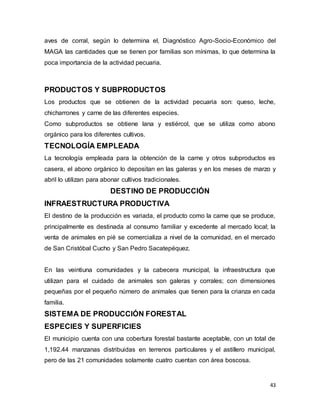 43
aves de corral, según lo determina el, Diagnóstico Agro-Socio-Económico del
MAGA las cantidades que se tienen por familias son mínimas, lo que determina la
poca importancia de la actividad pecuaria.
PRODUCTOS Y SUBPRODUCTOS
Los productos que se obtienen de la actividad pecuaria son: queso, leche,
chicharrones y carne de las diferentes especies.
Como subproductos se obtiene lana y estiércol, que se utiliza como abono
orgánico para los diferentes cultivos.
TECNOLOGÍA EMPLEADA
La tecnología empleada para la obtención de la carne y otros subproductos es
casera, el abono orgánico lo depositan en las galeras y en los meses de marzo y
abril lo utilizan para abonar cultivos tradicionales.
DESTINO DE PRODUCCIÓN
INFRAESTRUCTURA PRODUCTIVA
El destino de la producción es variada, el producto como la carne que se produce,
principalmente es destinada al consumo familiar y excedente al mercado local; la
venta de animales en pié se comercializa a nivel de la comunidad, en el mercado
de San Cristóbal Cucho y San Pedro Sacatepéquez.
En las veintiuna comunidades y la cabecera municipal, la infraestructura que
utilizan para el cuidado de animales son galeras y corrales; con dimensiones
pequeñas por el pequeño número de animales que tienen para la crianza en cada
familia.
SISTEMA DE PRODUCCIÓN FORESTAL
ESPECIES Y SUPERFICIES
El municipio cuenta con una cobertura forestal bastante aceptable, con un total de
1,192.44 manzanas distribuidas en terrenos particulares y el astillero municipal,
pero de las 21 comunidades solamente cuatro cuentan con área boscosa.
 