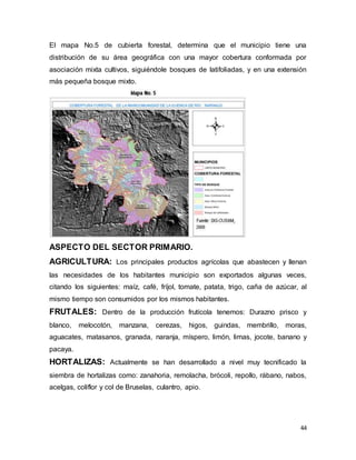 44
El mapa No.5 de cubierta forestal, determina que el municipio tiene una
distribución de su área geográfica con una mayor cobertura conformada por
asociación mixta cultivos, siguiéndole bosques de latifoliadas, y en una extensión
más pequeña bosque mixto.
ASPECTO DEL SECTOR PRIMARIO.
AGRICULTURA: Los principales productos agrícolas que abastecen y llenan
las necesidades de los habitantes municipio son exportados algunas veces,
citando los siguientes: maíz, café, fríjol, tomate, patata, trigo, caña de azúcar, al
mismo tiempo son consumidos por los mismos habitantes.
FRUTALES: Dentro de la producción frutícola tenemos: Durazno prisco y
blanco, melocotón, manzana, cerezas, higos, guindas, membrillo, moras,
aguacates, matasanos, granada, naranja, míspero, limón, limas, jocote, banano y
pacaya.
HORTALIZAS: Actualmente se han desarrollado a nivel muy tecnificado la
siembra de hortalizas como: zanahoria, remolacha, brócoli, repollo, rábano, nabos,
acelgas, coliflor y col de Bruselas, culantro, apio.
 
