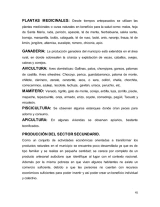 45
PLANTAS MEDICINALES: Desde tiempos antepasados se utilizan las
plantas medicinales o curas naturales en beneficio para la salud como: malva, hoja
de Santa María, ruda, pericón, apasote, té de menta, hierbabuena, salvia santa,
borraja, manzanilla, boldo, calaguala, té de ruso, lacté, anís, naranjo, linaza, té de
limón, jengibre, altamisa, eucalipto, romero, chicoria, apio.
GANADERIA: La producción ganadera del municipio está extendida en el área
rural, en donde sobresalen la crianza y explotación de vacas, caballos, ovejas,
cabras y conejos.
AVICULTURA: Aves domésticas: Gallinas, patos, chompipes, gansos, palomas
de castilla. Aves silvestres: Chocoyo, perica, guardabarranco, paloma de monte,
chiltote, clarinero, zanate, cenzontle, xeos, o xara, colibrí, chatía, chorchita,
correcaminos, azulejo, tecolote, lechuza, gavilán, urraca, peruchio, etc.
MAMÍFERO: Venado, tigrillo, gato de monte, conejo, ardilla, tuza, zorrillo, pisote,
mapache, tepezcuintle, onza, armado, erizo, coyote, comadreja, pagüil, Tacuatz y
micoleón.
PISCICULTURA: Se observan algunos estanques donde crían peces para
adorno y consumo.
APICULTURA: En algunas viviendas se observan apiarios, bastante
tecnificados.
PRODUCCIÓN DEL SECTOR SECUNDARIO.
Como un conjunto de actividades económicas orientadas a transformar los
productos naturales en el municipio se encuentra poco desarrollada ya que es de
tipo familiar y se realiza en pequeña cantidad; se carece por completo de un
producto artesanal autóctono que identifique al lugar con el contexto nacional.
Además por la misma pobreza en que viven algunos habitantes no existe un
comercio suficiente, debido a que las personas no cuentan con recursos
económicos suficientes para poder invertir y así poder crear un beneficio individual
y colectivo.
 