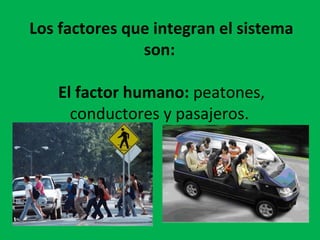 Los factores que integran el sistema
son:
El factor humano: peatones,
conductores y pasajeros.