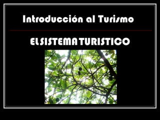 Introducción al Turismo EL   SISTEMA   TURISTICO 