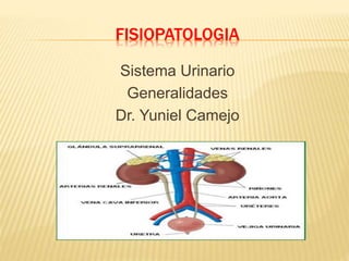 FISIOPATOLOGIA
Sistema Urinario
Generalidades
Dr. Yuniel Camejo
 