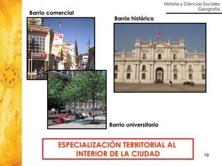ESPECIALIZACIÓN TERRITORIAL AL  INTERIOR DE LA CIUDAD Barrio histórico Barrio comercial Barrio universitario 