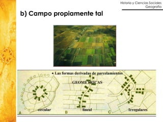 b) Campo propiamente tal 
