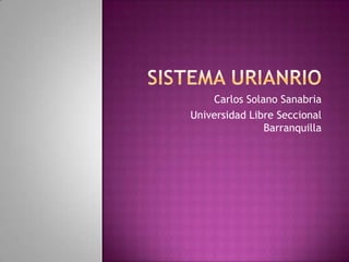 SISTEMA URIANRIO Carlos Solano Sanabria Universidad Libre Seccional Barranquilla 