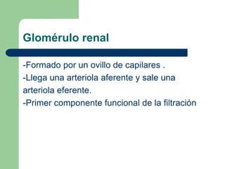 Irrigación renal