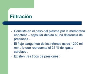 Dos esfínteres . Externo e interno 