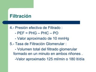 Mide 3 cm
