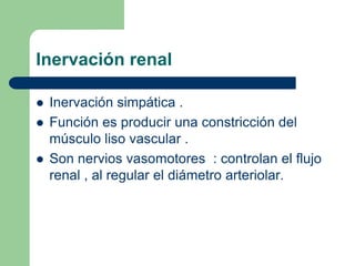 UretraRiñones