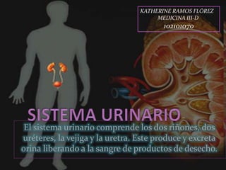 KATHERINE RAMOS FLÓREZ  MEDICINA III-D  102101070 SISTEMA URINARIO El sistema urinario comprende los dos riñones, dos uréteres, la vejiga y la uretra. Este produce y excreta orina liberando a la sangre de productos de desecho. 
