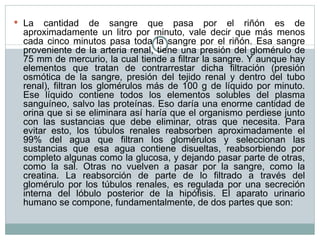 La cantidad de sangre que pasa por el riñón es de aproximadamente un litro por minuto, vale decir que más menos cada cinco minutos pasa toda la sangre por el riñón. Esa sangre proveniente de la arteria renal, tiene una presión del glomérulo de 75 mm de mercurio, la cual tiende a filtrar la sangre. Y aunque hay elementos que tratan de contrarrestar dicha filtración (presión osmótica de la sangre, presión del tejido renal y dentro del tubo renal), filtran los glomérulos más de 100 g de líquido por minuto. Ese líquido contiene todos los elementos solubles del plasma sanguíneo, salvo las proteínas. Eso daría una enorme cantidad de orina que si se eliminara así haría que el organismo perdiese junto con las sustancias que debe eliminar, otras que necesita. Para evitar esto, los túbulos renales reabsorben aproximadamente el 99% del agua que filtran los glomérulos y seleccionan las sustancias que esa agua contiene disueltas, reabsorbiendo por completo algunas como la glucosa, y dejando pasar parte de otras, como la sal. Otras no vuelven a pasar por la sangre, como la creatina. La reabsorción de parte de lo filtrado a través del glomérulo por los túbulos renales, es regulada por una secreción interna del lóbulo posterior de la hipófisis. El aparato urinario humano se compone, fundamentalmente, de dos partes que son: 