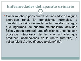 Enfermedades del aparato urinario Orinar mucho o poco puede ser indicador de alguna alteracion renal. En condiciones normales, la cantidad de orina depende de la cantidad de agua que ingerimos, de nuestro metabolismo, actividad fisica y masa corporal. Las infecciones urinarias son procesos infecciosos de las vías urinarias que producen inflamaciones de la uretra (uretritis), la vejiga (cistitis) o los riñones (pielonefritis). 