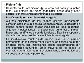 Pielonefritis Consiste en la inflamación del cuerpo del riñón y la pelvis renal. Se detecta por dolor abdominal, fiebre alta y orina escasa, con frecuencia acompañada de sangre. Insuficiencia renal o pielonefritis aguda Algunos problemas de los riñones ocurren rápidamente, como un accidente que causa lesiones renales. La pérdida de mucha sangre puede causar insuficiencia renal repentina. Algunos medicamentos o sustancias venenosas pueden hacer que los riñones dejen de funcionar. Esta baja repentina de la función renal se llama insuficiencia renal aguda. La insuficiencia renal aguda puede llevar a la pérdida permanente de la función renal. Pero si los riñones no sufren un daño grave, esa insuficiencia puede contrarrestarse con una operación quirúrgica. En la mayoría de los casos, la operación quirúrgica, es un trasplante renal, dejando los que ya posee la persona y poniendo. 
