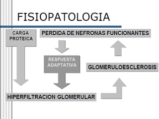 Presión Arterial: 110/67 mmHg