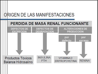 Pulso Radial Izquierdo: 67 lat/min