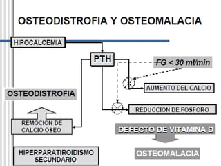 INSUFICIENCIA RENAL CRÓNICASe entiende por Insuficiencia Renal Crónica a la pérdida progresiva eirreversible de la función renal. Se inicia con el deterioro progresivo del volúmen de filtrado glomerular por el reclutamiento de nefronas dañadas, al que se agregan los trastornos tubulares de homeostasis y finalmente la falla de las funciones hormonales del órgano.En la IRC (Insuficiencia Renal Crónica) el reclutamiento es progresivo, hallándose las nefronas en grados variables de daño estructural y funcional, abonando el concepto de masa funcional crítica, que confiere a esta entidad fases evolutivas que van desde la etapa totalmente subclínica hasta el deterioro terminal, conocido como uremia o fase descompensada de características terminales.