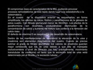 UNIVERSIDAD LIBRE. MEDICINA V SEMESTRE C