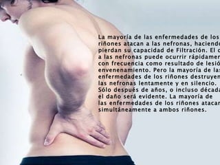 La mayoría de las enfermedades de los  riñones atacan a las nefronas, haciendo que  pierdan su capacidad de Filtración. El daño  a las nefronas puede ocurrir rápidamente,  con frecuencia como resultado de lesión o  envenenamiento. Pero la mayoría de las  enfermedades de los riñones destruyen  las nefronas lentamente y en silencio.  Sólo después de años, o incluso décadas,  el daño será evidente. La mayoría de  las enfermedades de los riñones atacan  simultáneamente a ambos riñones. 