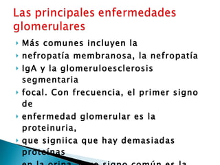 Más comunes incluyen la  nefropatía membranosa, la nefropatía  IgA y la glomeruloesclerosis segmentaria  focal. Con frecuencia, el primer signo de  enfermedad glomerular es la proteinuria,  que signiica que hay demasiadas proteínas  en la orina. Otro signo común es la  hematuria, que signiica que hay sangre en  la orina. Algunas personas pueden tener  tanto proteinuria como hematuria 