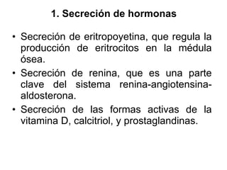 1. Secreción de hormonas Secreción de eritropoyetina, que regula la producción de eritrocitos en la médula ósea.  Secreción de renina, que es una parte clave del sistema renina-angiotensina-aldosterona.  Secreción de las formas activas de la vitamina D, calcitriol, y prostaglandinas.  