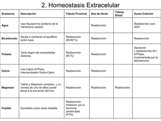 2. Homeostasis Extracelular Sustancia Descripción Túbulo Proximal Asa de Henle Túbulo Distal Ducto Colector Agua Usa Aquoporina (proteina de la membrana celular).   Reabsorción    Reabsorción (con ADH Bicarbonato Ayuda a mantener el equilibrio acido base Reabsorción  (80-90 %) Reabsorción    Reabsorción Potasio Varia según las necesidades dietarias. Reabsorción  (65 %) Reabsorción    Secreción ( mediante Na+/K+-ATPasa, incrementada por la aldosterona) Calcio Usa Calcio ATPasa, Intercambiador Sodio-Calcio Reabsorción Reabsorción      Magnesio Calcio y Magnesio compiten, y un exceso de uno de ellos puede llevar a la excreción del otro. Reabsorción Reabsorción  Reabsorción   Fosfato Excretado como ácido titulable Reabsorción Inhibición por la hormona paratiroidea (PTH).       