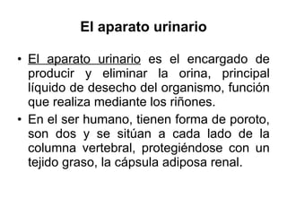 El aparato urinario El aparato urinario  es el encargado de producir y eliminar la orina, principal líquido de desecho del organismo, función que realiza mediante los riñones.  En el ser humano, tienen forma de poroto, son dos y se sitúan a cada lado de la columna vertebral, protegiéndose con un tejido graso, la cápsula adiposa renal. 