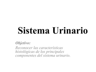 Sistema Urinario
Objetivo:
Reconocer las características
histológicas de los principales
componentes del sistema urinario.
 