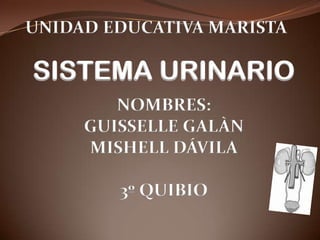 UNIDAD EDUCATIVA MARISTA

SISTEMA URINARIO
        NOMBRES:
     GUISSELLE GALÀN
     MISHELL DÁVILA

        3º QUIBIO
 