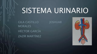 SISTEMA URINARIO 
GILA CASTILLO JOSHUAR 
MORALES 
HÉCTOR GARCÍA 
ZAZIR MARTÍNEZ 
 