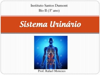 Instituto Santos Dumont
Bio II (3º ano)
Prof. Rafael Menezes
 