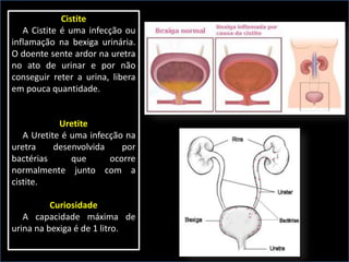 Cistite
A Cistite é uma infecção ou
inflamação na bexiga urinária.
O doente sente ardor na uretra
no ato de urinar e por não
conseguir reter a urina, libera
em pouca quantidade.
Uretite
A Uretite é uma infecção na
uretra desenvolvida por
bactérias que ocorre
normalmente junto com a
cistite.
Curiosidade
A capacidade máxima de
urina na bexiga é de 1 litro.
 