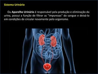 Sistema Urinário
Ou Aparelho Urinário é responsável pela produção e eliminação da
urina, possui a função de filtrar as "impurezas" do sangue e deixá-lo
em condições de circular novamente pelo organismo.
 