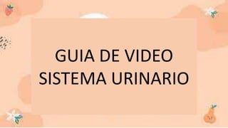 GUIA DE VIDEO
SISTEMA URINARIO
 